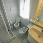 Vela