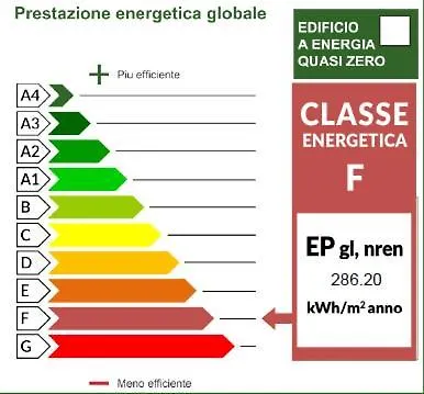 Vela 리그나노 사비아도로