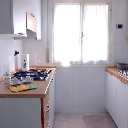 Vela * 리그나노 사비아도로